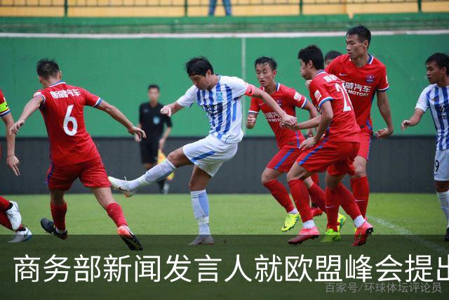商务部新闻发言人就欧盟峰会提出对华“双轨”思路答记者问