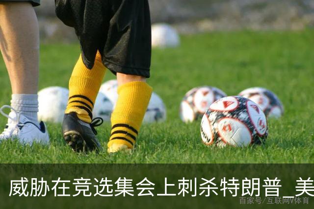 威胁在竞选集会上刺杀特朗普 美国一男子被逮捕