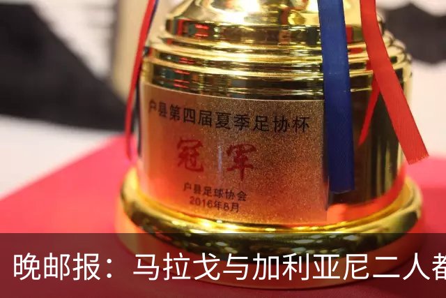 晚邮报：马拉戈与加利亚尼二人都尚未获得11家意甲俱乐部支持