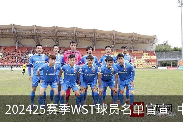 2024/25赛季WST球员名单官宣 中国军团共26人出战